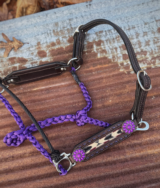 Purple Pendleton Working Hybrid Halter