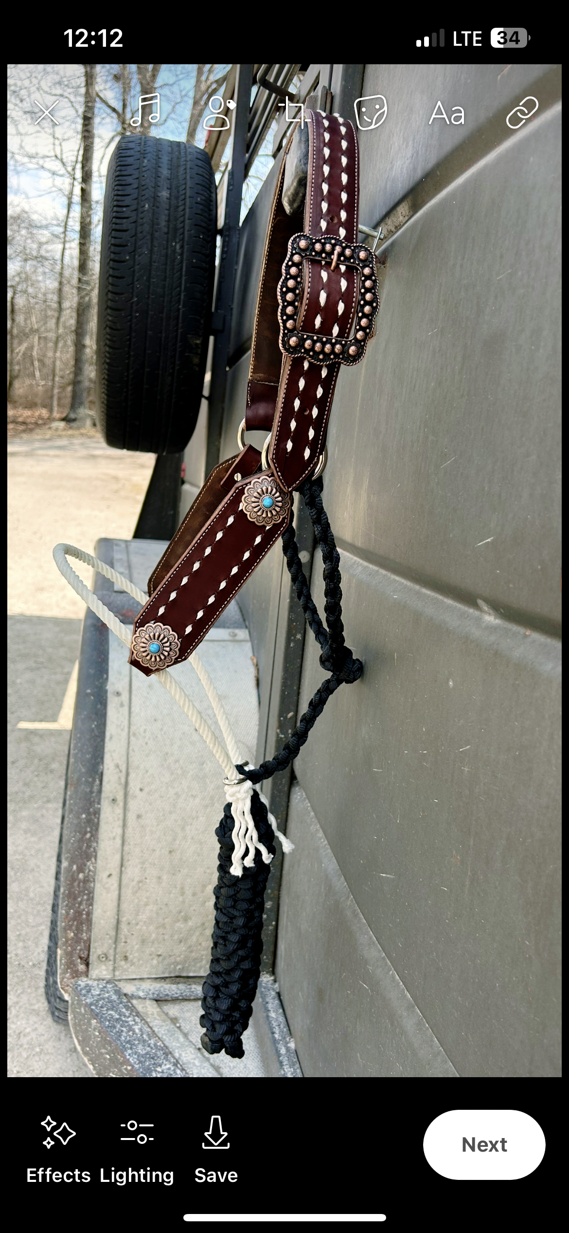 Chocolate brown hybrid w/turquoise Conchos