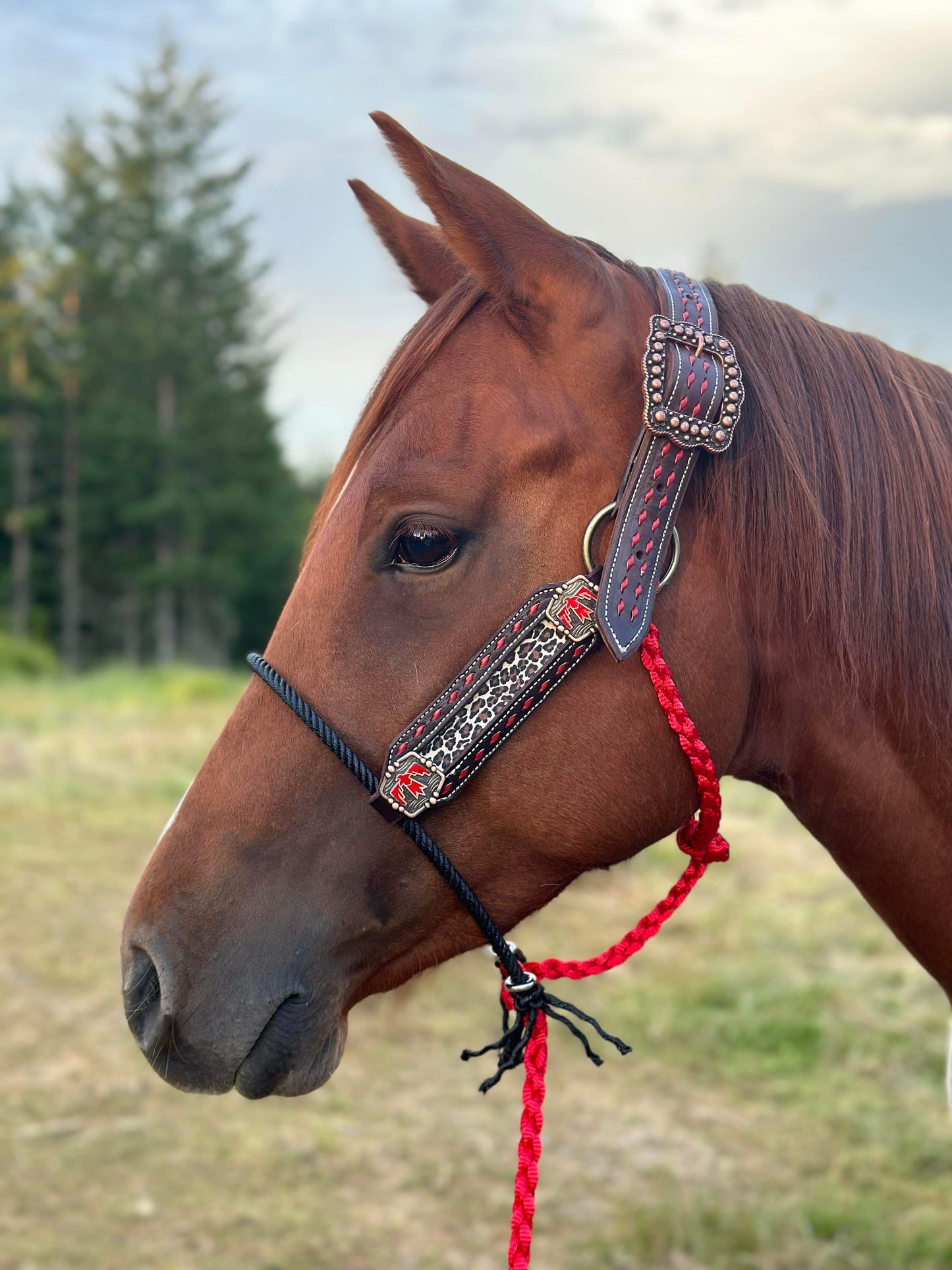 Red thunderbird hybrid halter w/cheetah print